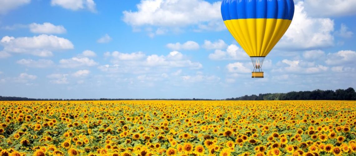 Chip Bell blog image Field of sunflowers and hot air balloon